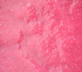 jam03_big