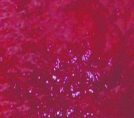 jam04_big